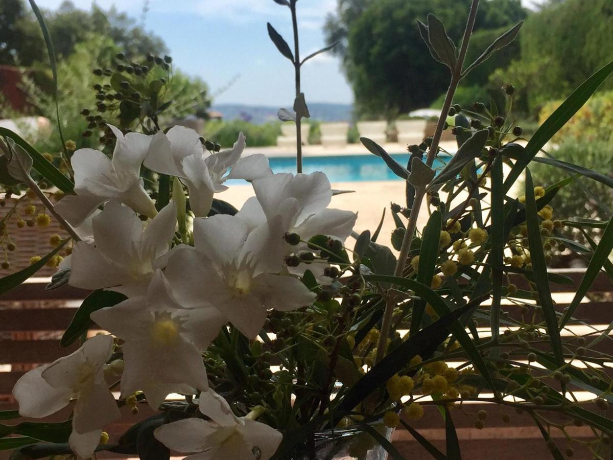 Lovely "Provence" Villa With Sea View, Private Heated Pool, Airco And Beautiful Garden 그리모 외부 사진
